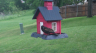 /Birds//Thumbs//found20250429-083907.png 