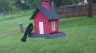 /Birds//Thumbs//found20250429-084616.png 