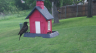 /Birds//Thumbs//found20250429-085215.png 