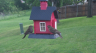 /Birds//Thumbs//found20250429-085241.png 