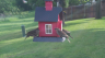 /Birds//Thumbs//found20250429-085405.png 
