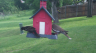 /Birds//Thumbs//found20250429-091741.png 