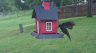 /Birds//Thumbs//found20250429-092130.png 