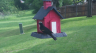 /Birds//Thumbs//found20250429-092655.png 