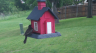 /Birds//Thumbs//found20250429-100906.png 