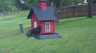 /Birds//Thumbs//found20250429-101103.png 