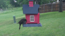 /Birds//Thumbs//found20250429-101142.png 