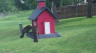 /Birds//Thumbs//found20250429-101619.png 