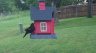 /Birds//Thumbs//found20250429-101913.png 