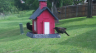 /Birds//Thumbs//found20250429-102125.png 