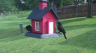 /Birds//Thumbs//found20250429-102136.png 