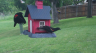 /Birds//Thumbs//found20250429-102442.png 