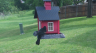 /Birds//Thumbs//found20250429-102504.png 