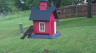 /Birds//Thumbs//found20250429-110132.png 