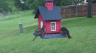 /Birds//Thumbs//found20250429-110232.png 