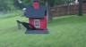 /Birds//Thumbs//found20250429-112409.png 