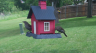 /Birds//Thumbs//found20250429-114612.png 