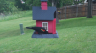/Birds//Thumbs//found20250429-115113.png 