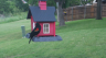 /Birds//Thumbs//found20250429-133849.png 