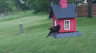 /Birds//Thumbs//found20250429-134306.png 