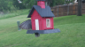 /Birds//Thumbs//found20250429-144105.png 
