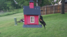 /Birds//Thumbs//found20250429-170420.png 