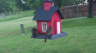 /Birds//Thumbs//found20250430-071713.png 