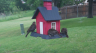 /Birds//Thumbs//found20250430-071717.png 