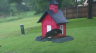 /Birds//Thumbs//found20250430-115627.png 