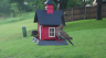 /Birds//Thumbs//found20250430-121953.png 