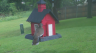 /Birds//Thumbs//found20250430-124029.png 