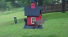 /Birds//Thumbs//found20250430-124909.png 