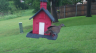 /Birds//Thumbs//found20250430-151628.png 