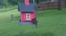 /Birds//Thumbs//found20250502-074844.png 