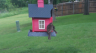/Birds//Thumbs//found20250502-074913.png 