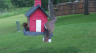 /Birds//Thumbs//found20250502-075724.png 