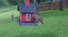 /Birds//Thumbs//found20250502-080221.png 