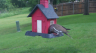 /Birds//Thumbs//found20250502-080354.png 