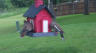 /Birds//Thumbs//found20250502-080410.png 