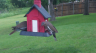 /Birds//Thumbs//found20250502-080420.png 