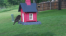 /Birds//Thumbs//found20250502-082400.png 