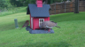 /Birds//Thumbs//found20250502-083150.png 