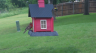 /Birds//Thumbs//found20250502-085438.png 