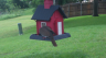 /Birds//Thumbs//found20250502-092049.png 