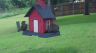 /Birds//Thumbs//found20250502-092103.png 