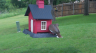 /Birds//Thumbs//found20250502-103255.png 