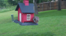 /Birds//Thumbs//found20250502-103504.png 