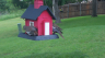 /Birds//Thumbs//found20250502-103546.png 