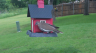 /Birds//Thumbs//found20250502-103753.png 
