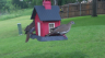 /Birds//Thumbs//found20250502-110439.png 